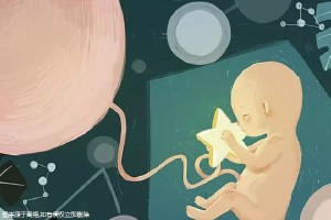 关于供精代怀价格供卵